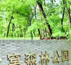 沙窝森林公园