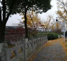 楚望台遗址公园