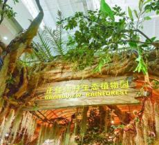 正佳雨林生态植物园