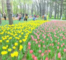 黑龙江省森林植物园