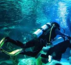 兰州极地海洋世界