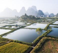 会仙湿地