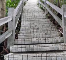 摩云登山路