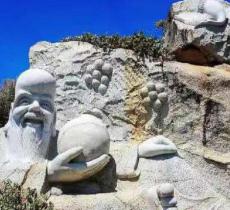 南极仙翁