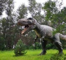 一马树森林公园