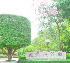 花果山公园