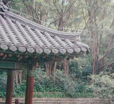 韩国园
