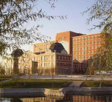 东北大学秦皇岛分校