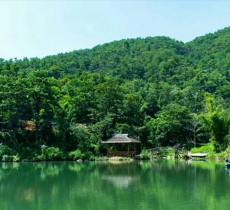 市外桃园旅游度假区-滑索