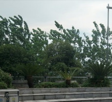 碧湘门广场