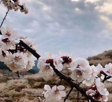 花花浪森林公园