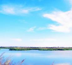 小白河湿地公园