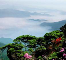 阳明山国家森林公园