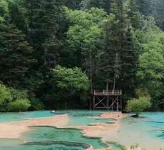 黄龙山原始森林景区