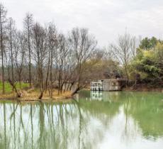 杭州湿地植物园
