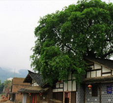 中坝大峡谷民俗博物馆