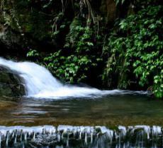 冷水尖生态风景区