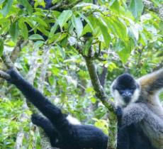 云南野生动物园