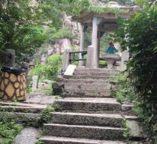 崂山茶苑生态旅游区