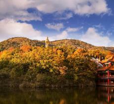 横山寺森林公园