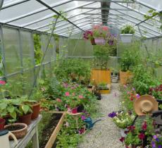 宁夏园艺产业园