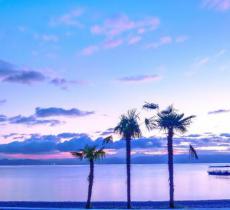 月亮湾湿地公园