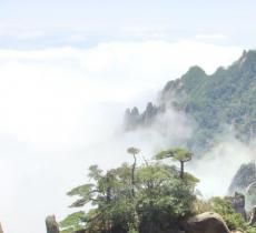 西海岸景区
