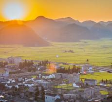 罗平油菜花景区