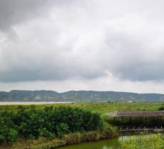 黄河湿地景区