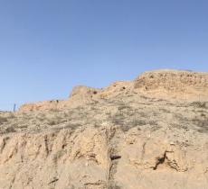 西河桥古生物化石