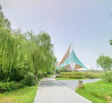 灞桥生态湿地公园