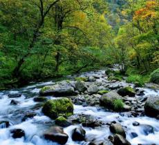 陕西飞渡峡景区