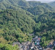 杨梅岭