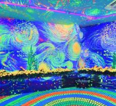 杭州梵高星空艺术展