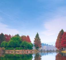 浙江农林大学（东湖校区）