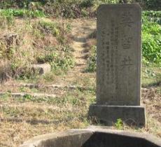 婆留井
