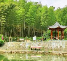 龙坞镇西山森林公园
