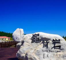 龟背岩