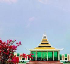 中缅友谊长青树