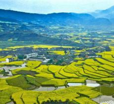 平利桃花溪景区