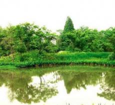 建塘公园