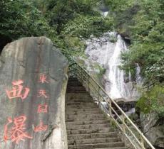 西瀑大森林