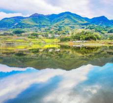 阳山畈村