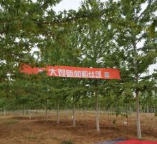 大连多彩燕园名校名树主题公园