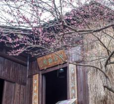 西溪梅墅