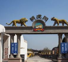大连狮虎园