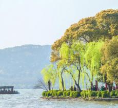 柳浪闻莺