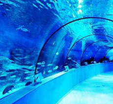 人民公园-宝鸡市海洋馆