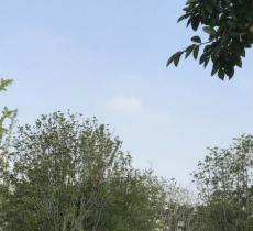 美国城