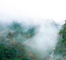 天目山景区